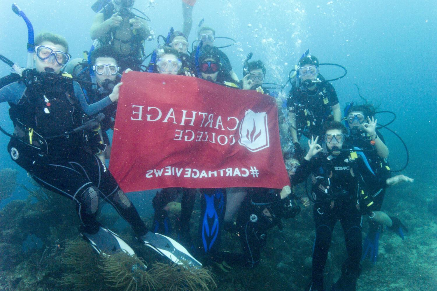 学生们手持<a href='http://7ad.vinoselecion.com'>bv伟德ios下载</a>旗帜，在j学期洪都拉斯游学之旅中潜水.